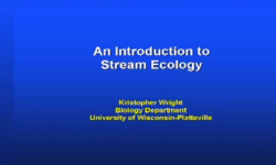 Stream Ecology